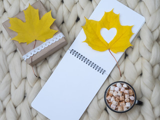 Cozy composition, hot chocolate with marshmallows, merino wool blanket, warm and comfortable atmosphere. Knit background. Flat lay. Top view. Copy space. Autumn concept.Wrapped gifts.