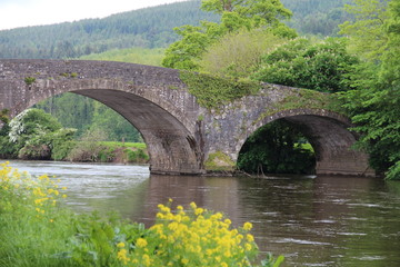Irish Bridge