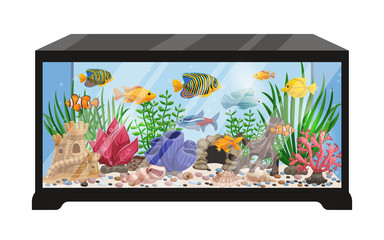 Aquarium Tank Cartoon Illustration