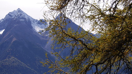 Schweiz Graubünden Engadin 10