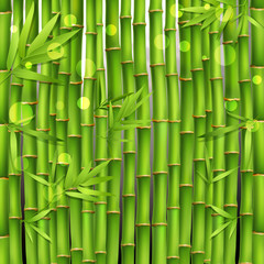 Bamboo Oriental Seamless Pattern