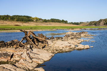 Fototapeta na wymiar Dry log on the reservoir
