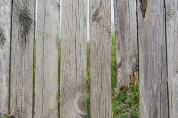 A fence with gaps and broken board