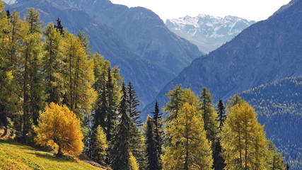 Schweiz Graubünden Engadin 12