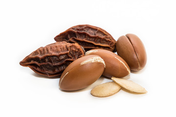 Obraz premium Argan seeds, for the production of oil. Very nutritious for skin and hair