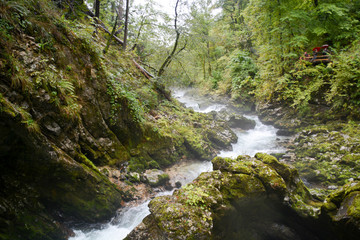 Vintgar Gorge, Slovenia