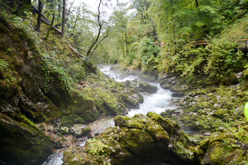 Vintgar Gorge, Slovenia