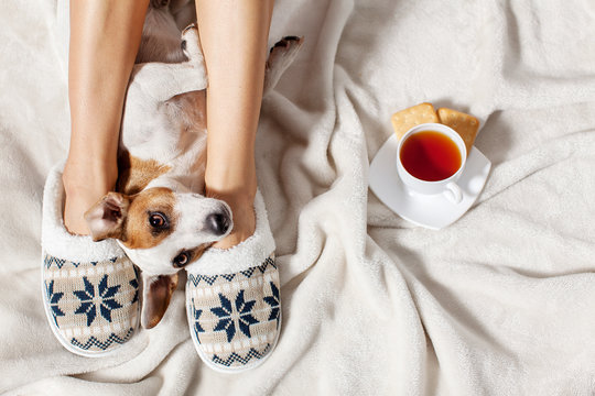 Woman In Slippers With Dog