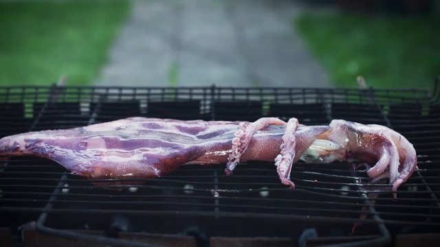4k Grill Cooking Barbecue Squid