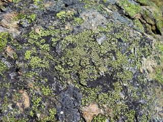 Obraz premium Minerals and volcanic rock in the North Cascade mountains