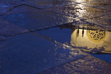 Reflected in a puddle