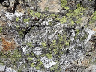 Quartz and minerals in volcanic rock in the North Cascade mountains