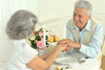Obraz na płótnie Canvas Smiling elderly couple sitting at table 