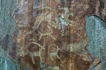 Petroglyphs of the tract Kalbak-Tash in Onguday district, Altai Republic, Russia.