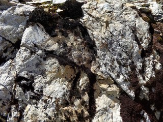 Minerals and volcanic rock in the North Cascade mountains