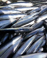 Obraz premium pescado