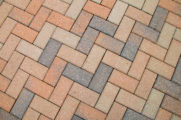 Paved brick path