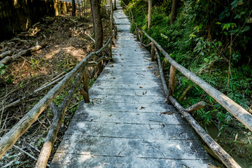 Obraz premium Concrete Pathway