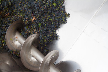 grape processing with a machine