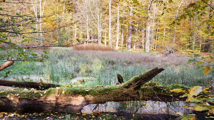 Nationalpark Hainich