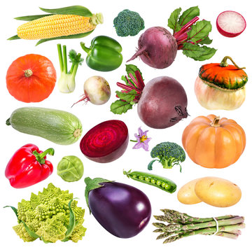 collection of vegetables isolated on white background