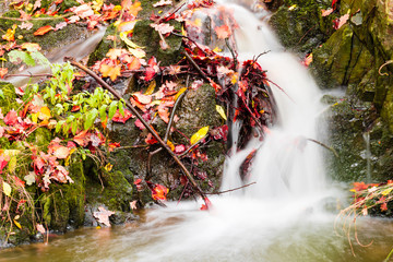 Fototapeta na wymiar Small beautiful waterfall on a tiny creek