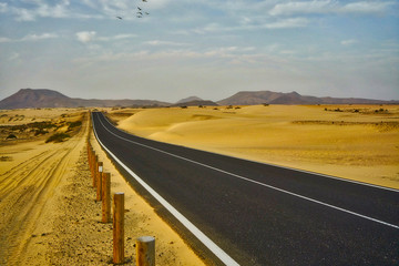  Typical landscape of Fuerteventura island
