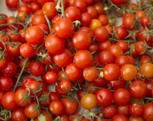 Cherry tomatoes on the market - Solanum lycopersicum var. cerasiform