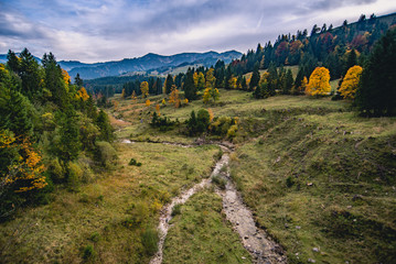 landscape on german alpin road, allgau