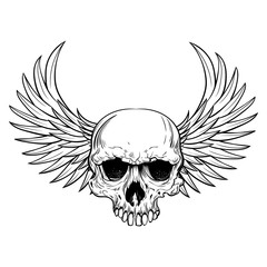 Fototapeta premium Human skull with wings for tattoo design.