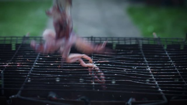 4k Grill Cooking Barbecue Squid
