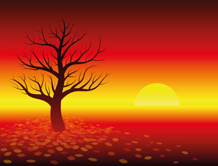 Autumn atmosphere - sunset in glowing red landscape with leafless tree. Isolated vector illustration on warm red gradient background.