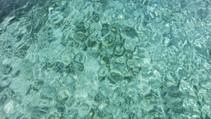 detail shot from the deep blue sea