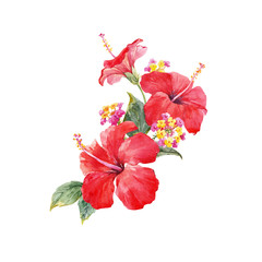 Watercolor hibiscus composition - obrazy, fototapety, plakaty