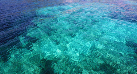 Fototapeta na wymiar detail shot from the deep blue sea