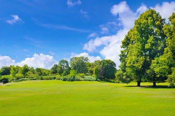 park, meadow and blue sky