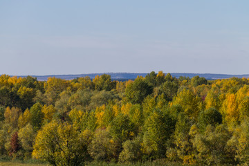 Aerial view of colorful autumn trees