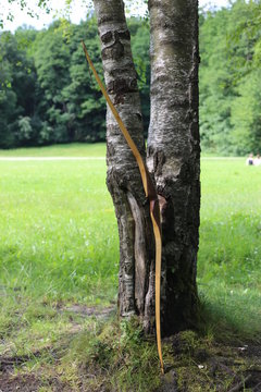  Archer arrow bow – Bogen Wald Baum
