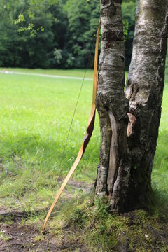  Archer arrow bow – Bogen Wald Baum
