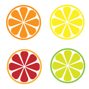 editable icon of citrus slices in colors yellow orange green and red isolated for applications and web pages