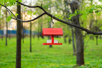 birdhouse