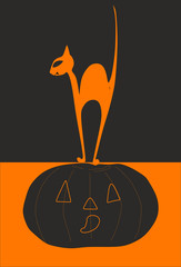 Black cat vampire and pumpkin for halloween on a black and orange background. Vector.