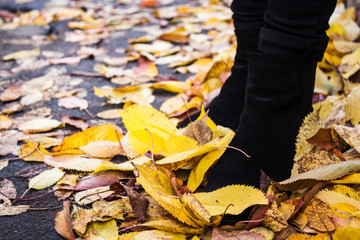 female boots in autumn leaves