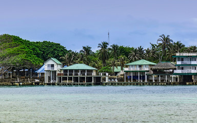 Houses and bungalows
