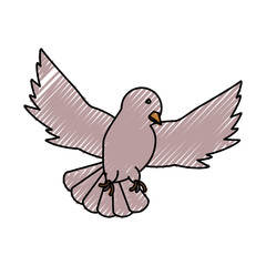 peace dove  vector illustration