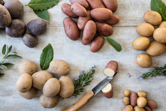 erbe aromatiche con patate di diverse varietà, una tagliata a metà con un piccolo coltello 