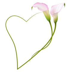 Realistic pink calla lily frame, heart. The symbol of Enchanting beauty.