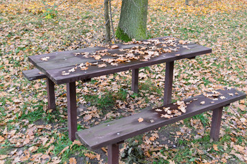 Las w jesienny dzień © Senatorek