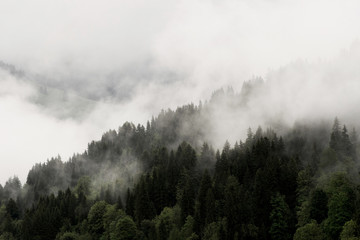 Nebelstimmung im Saanenland