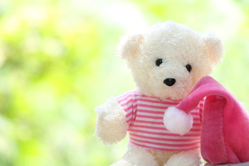 One white teddy bear wear pink shirts with pink Christmas cap on green,yellow and white bokeh have copy space